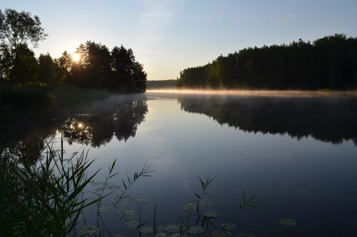 Morning - My, River, Great, Opochka, Fishing, The photo