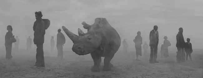 The climate crisis is disrupting normal life in Africa. Nick Brandt photographed injured people and animals together for several months - Animals, Africa, Ecology, The photo, Climate change, Climate, People, Planet Earth, , wildlife, Longpost
