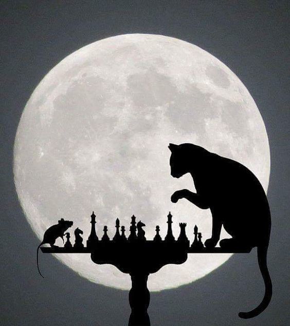 A cat and a mouse play chess. - My, Panel, cat, Mouse, Wood products, Carpenter, With your own hands, Decor, Longpost, Needlework with process