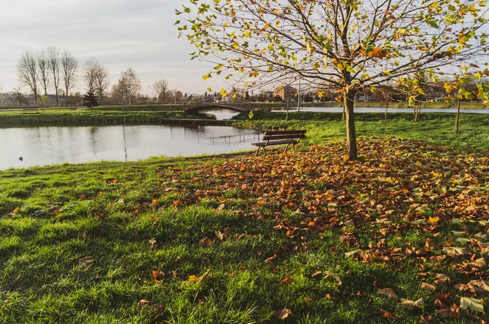 Autumn meadow near the pond - My, Autumn, The photo, beauty of nature, Water, Nature