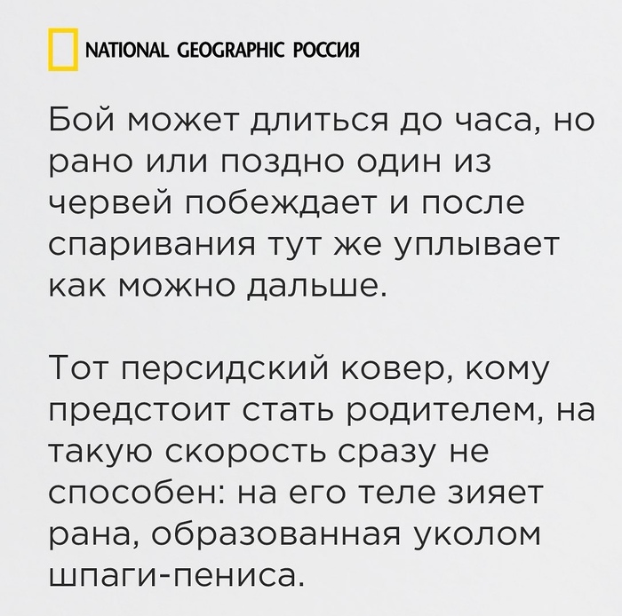 national geographic жизнь до рождения собаки. Смотреть фото national geographic жизнь до рождения собаки. Смотреть картинку national geographic жизнь до рождения собаки. Картинка про national geographic жизнь до рождения собаки. Фото national geographic жизнь до рождения собаки