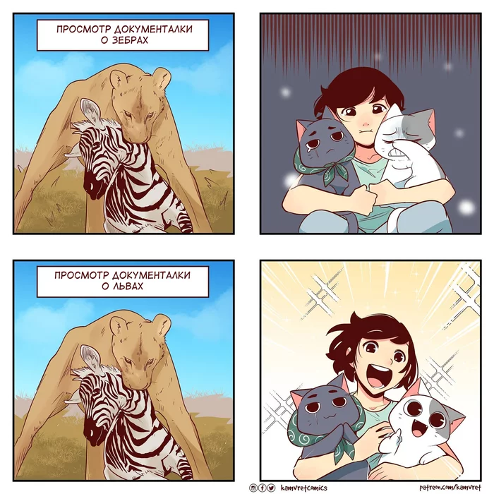 Documentaries - Comics, Komikkamvret, Documentary, a lion, zebra