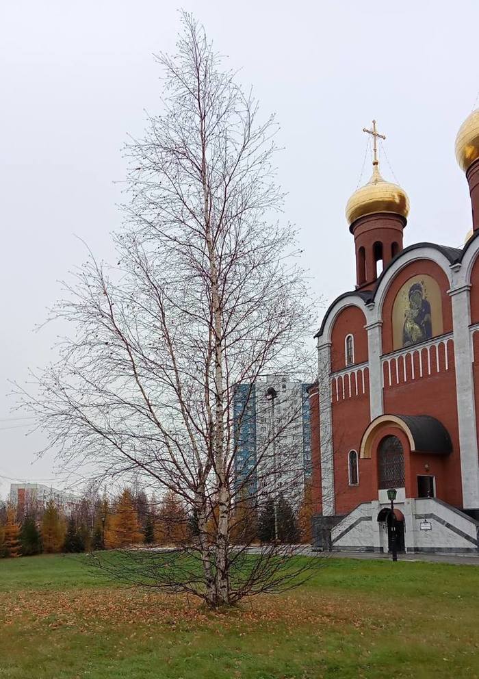 Осень, осень, ну давай у листьев спросим... - Моё, Покров, Нижневартовск, Осенние листья, Церковь