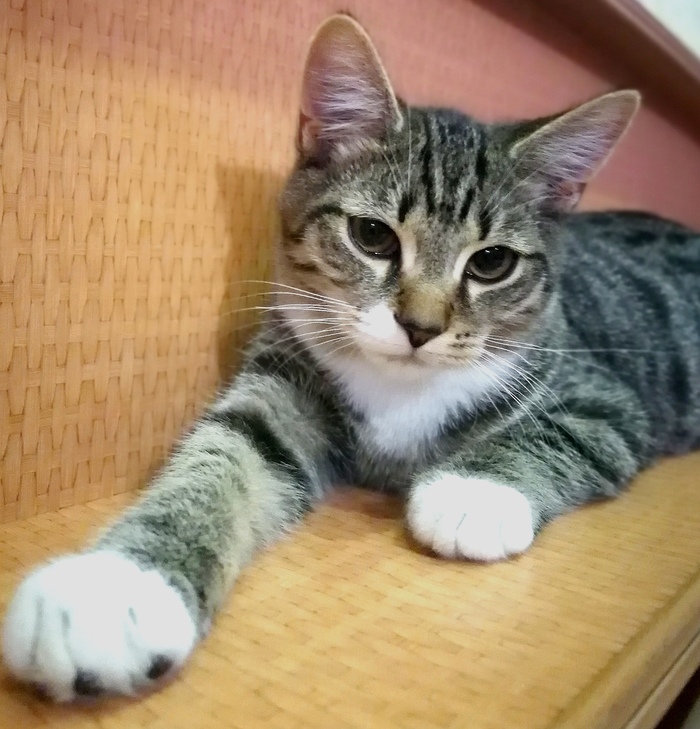 ����� ����������