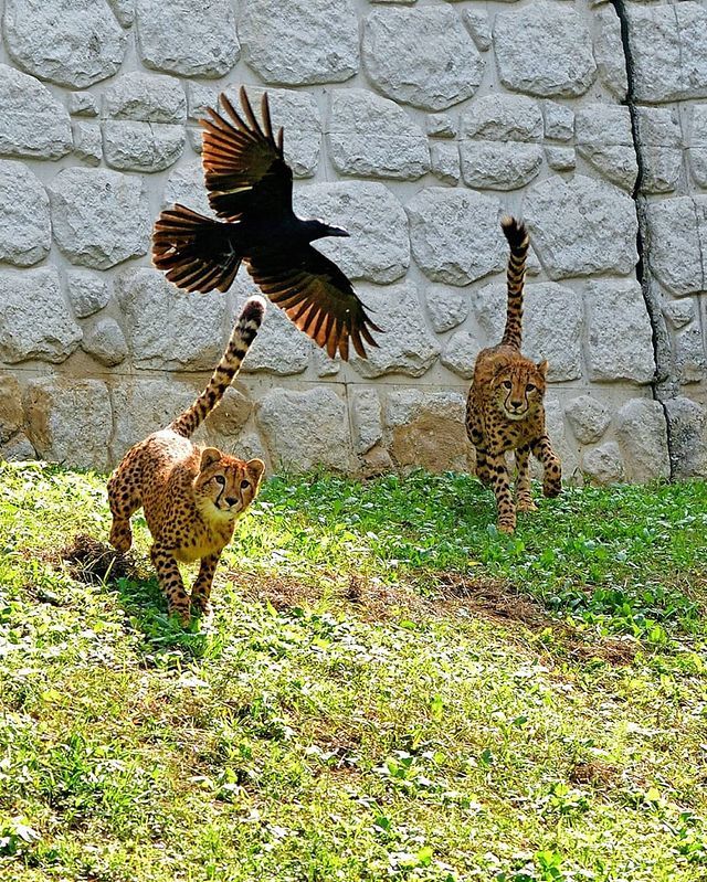 ������� ������! ��� ������ ��������