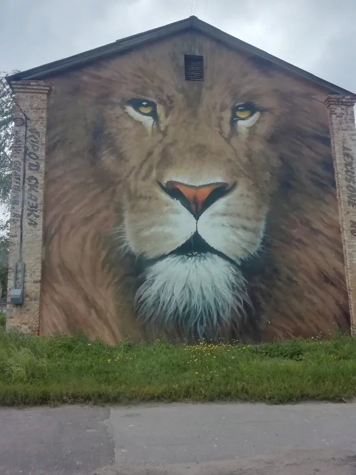 Король-лев. Нижний Новгород - Граффити, Рисунок, Красное сормово, Нижний Новгород, Повтор