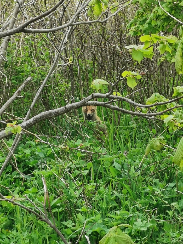 ��������������