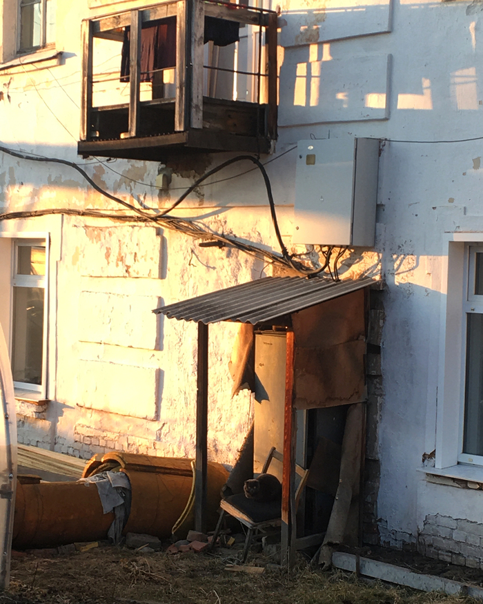 ��������� ���� ����. ��������� �������. 2021 ���