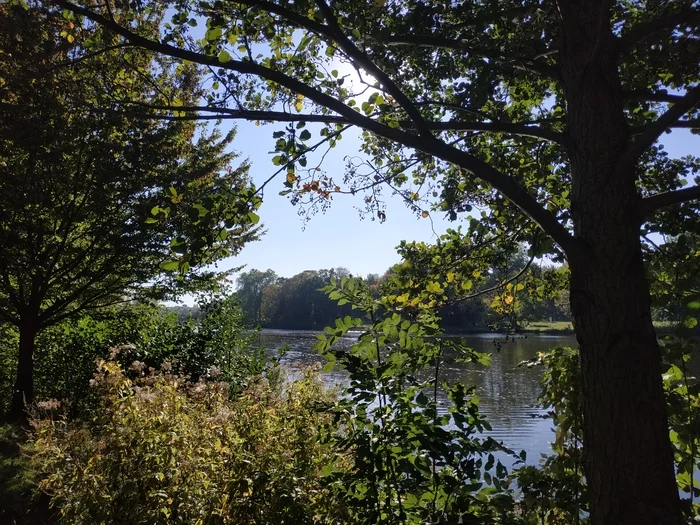 Autumn - My, Photo on sneaker, Autumn, Landscape, Berlin, The photo