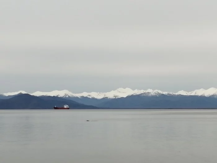 If you look closely, you can see a sea lion)) - My, Kamchatka, Avacha Bay