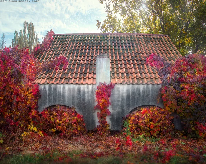 Autumn symmetry) - My, The photo, Autumn, Architecture, Nature, Paints, Symmetry, Color, beauty