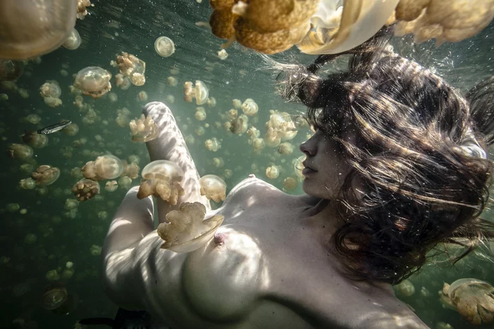 Under the water - NSFW, Erotic, Girls, Under the water, Breast, Jellyfish, Boobs
