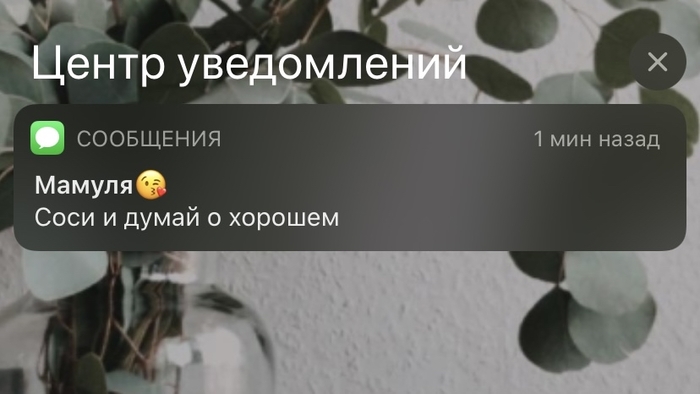 ������ �����