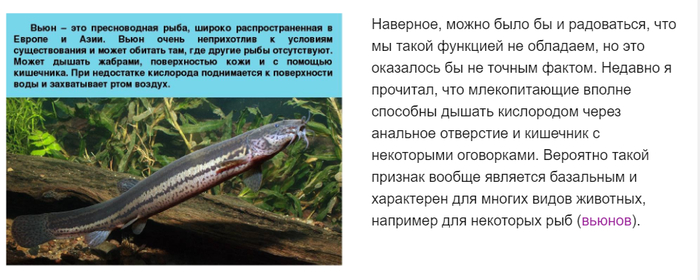 почему жизнь на земле не возникла раньше. Смотреть фото почему жизнь на земле не возникла раньше. Смотреть картинку почему жизнь на земле не возникла раньше. Картинка про почему жизнь на земле не возникла раньше. Фото почему жизнь на земле не возникла раньше