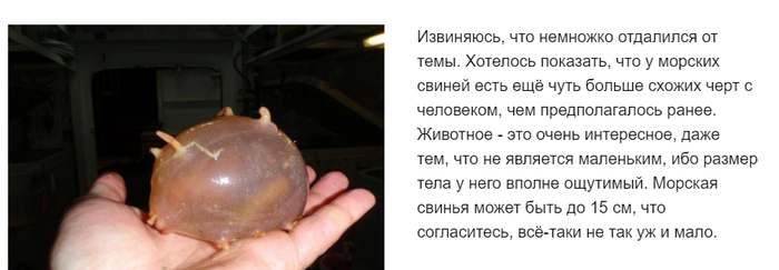 почему жизнь на земле не возникла раньше. Смотреть фото почему жизнь на земле не возникла раньше. Смотреть картинку почему жизнь на земле не возникла раньше. Картинка про почему жизнь на земле не возникла раньше. Фото почему жизнь на земле не возникла раньше