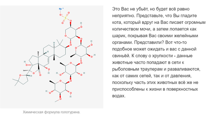 почему жизнь на земле не возникла раньше. Смотреть фото почему жизнь на земле не возникла раньше. Смотреть картинку почему жизнь на земле не возникла раньше. Картинка про почему жизнь на земле не возникла раньше. Фото почему жизнь на земле не возникла раньше