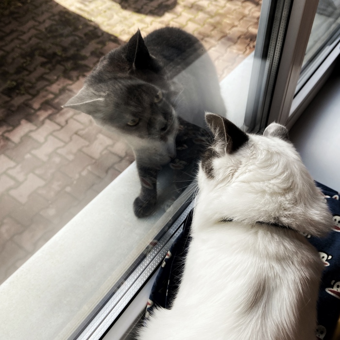 На улку выйдешь?