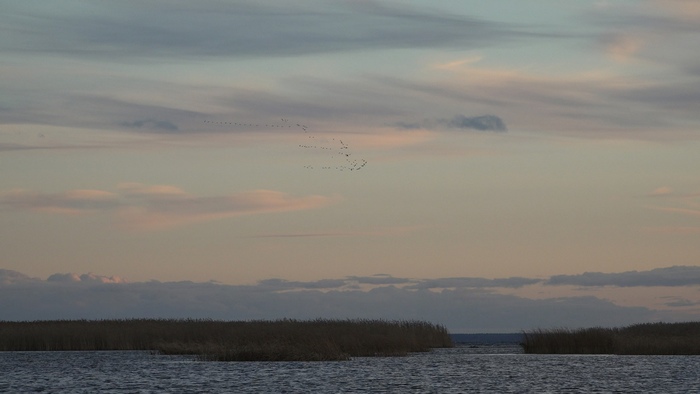 какая птица меньше колибри. Смотреть фото какая птица меньше колибри. Смотреть картинку какая птица меньше колибри. Картинка про какая птица меньше колибри. Фото какая птица меньше колибри какая птица меньше колибри. Смотреть фото какая птица меньше колибри. Смотреть картинку какая птица меньше колибри. Картинка про какая птица меньше колибри. Фото какая птица меньше колибри