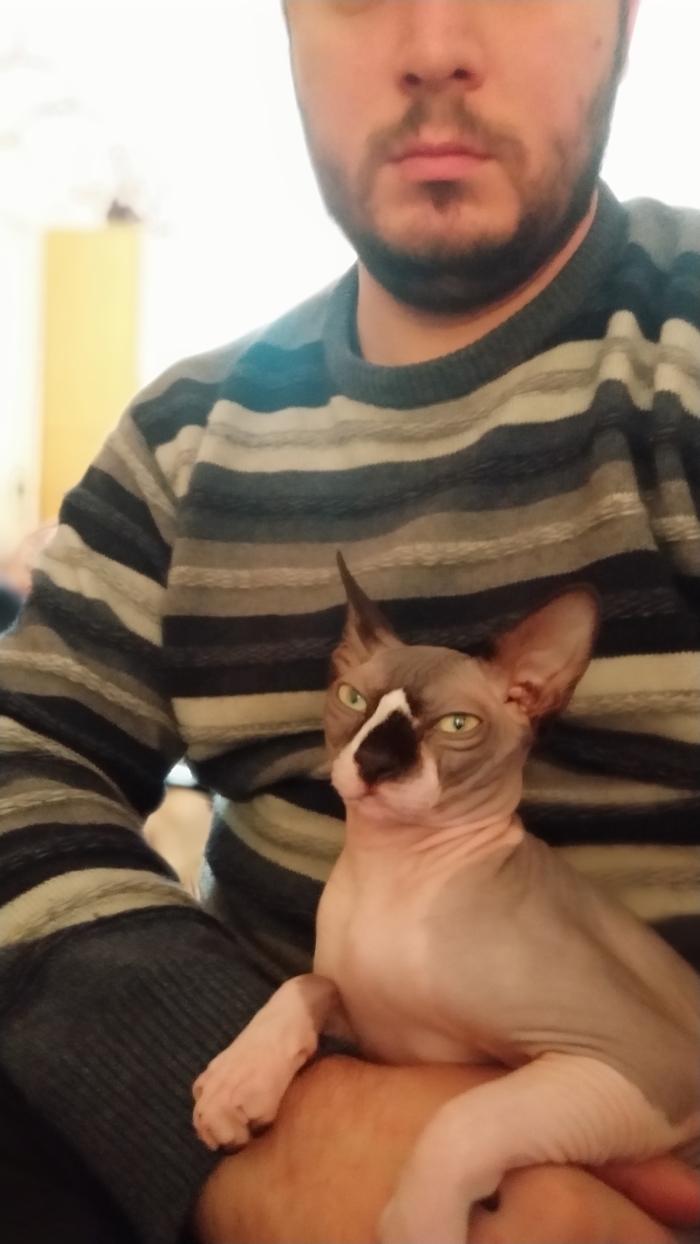   , , , 
