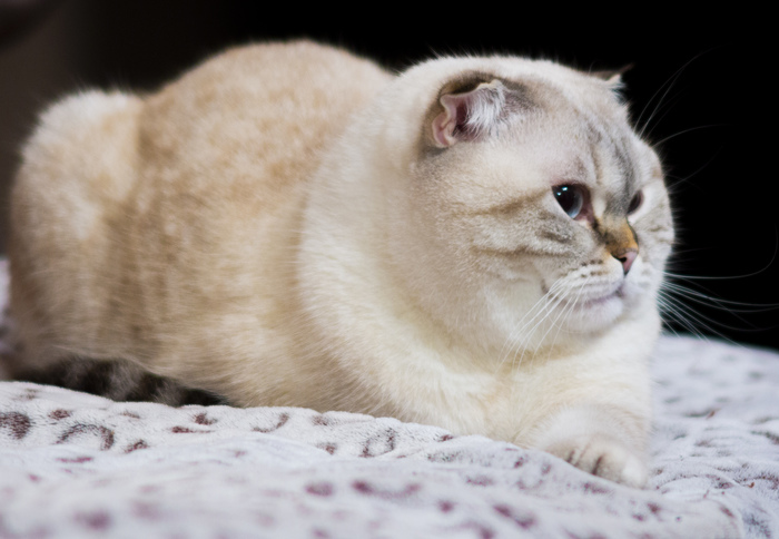 �� �����?