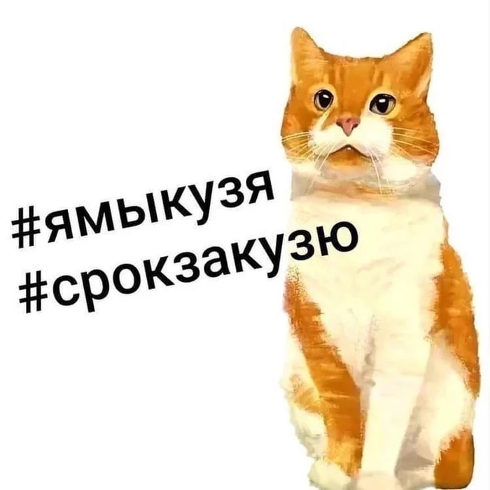 We demand to punish the killers of the cat Kuzi! - Negative, Cruelty to animals, Longpost