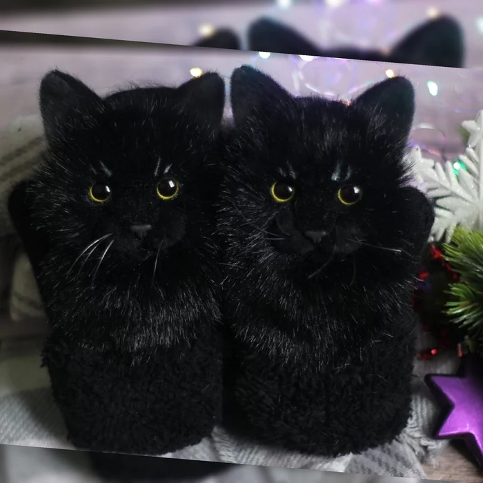 Cats - My, Animal husbandry, Mittens, Black cat, cat, Handmade, Needlework without process, Longpost