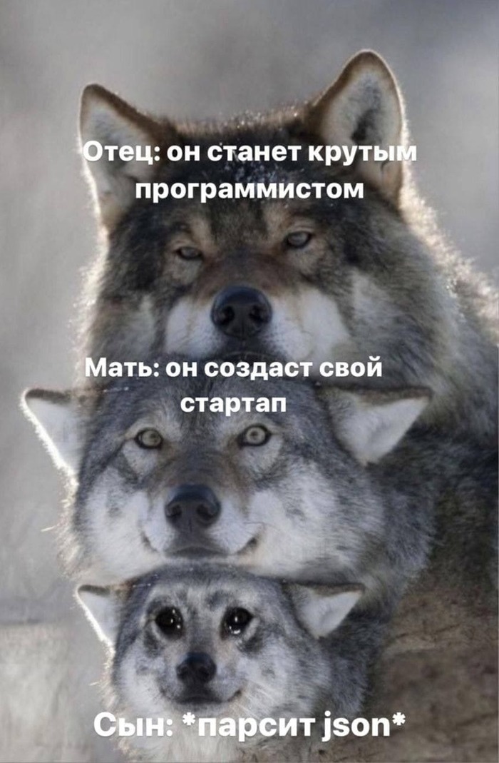 Опять парсишь, щенок?