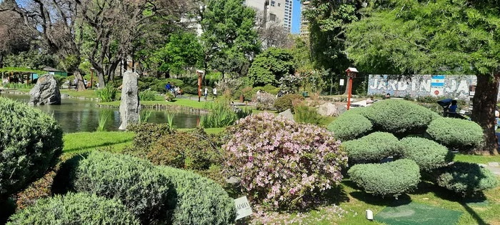 Argentine spring and good mood in your feed! - My, Spring, Buenos Aires, Argentina, Beautiful, Video, Longpost