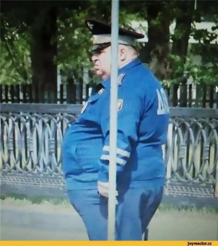  ...  ,  , 
