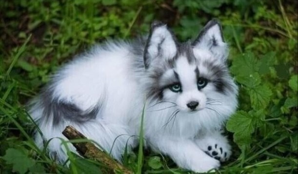 Marble fox. - marble fox, Milota, Toys