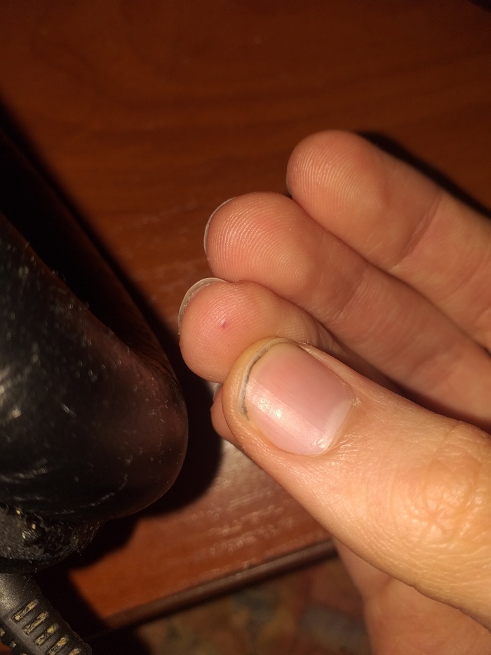 ������ ������ ����� ����� ������ ����� �� �������� � ���� ������� ����?