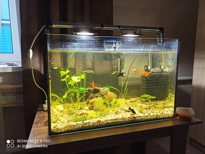 аквариум для рыб xiaomi geometry fish tank aquaponics ecosystem c180 standart set 9 литров. Смотреть фото аквариум для рыб xiaomi geometry fish tank aquaponics ecosystem c180 standart set 9 литров. Смотреть картинку аквариум для рыб xiaomi geometry fish tank aquaponics ecosystem c180 standart set 9 литров. Картинка про аквариум для рыб xiaomi geometry fish tank aquaponics ecosystem c180 standart set 9 литров. Фото аквариум для рыб xiaomi geometry fish tank aquaponics ecosystem c180 standart set 9 литров