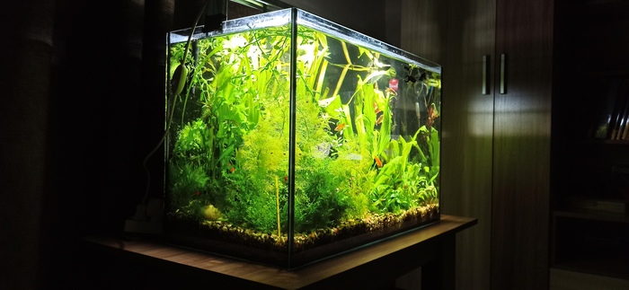 аквариум для рыб xiaomi geometry fish tank aquaponics ecosystem c180 standart set 9 литров. Смотреть фото аквариум для рыб xiaomi geometry fish tank aquaponics ecosystem c180 standart set 9 литров. Смотреть картинку аквариум для рыб xiaomi geometry fish tank aquaponics ecosystem c180 standart set 9 литров. Картинка про аквариум для рыб xiaomi geometry fish tank aquaponics ecosystem c180 standart set 9 литров. Фото аквариум для рыб xiaomi geometry fish tank aquaponics ecosystem c180 standart set 9 литров