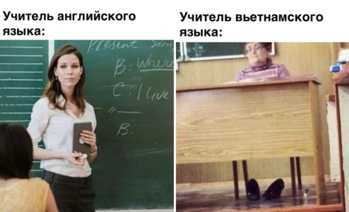 Teacher - Black humor, Teacher, Vietnamese, English language, Picture with text