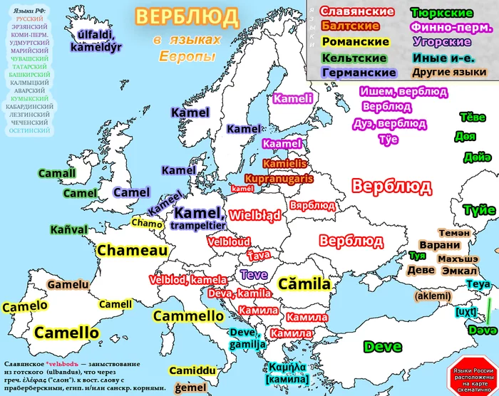 Map: camel in the languages ??of Europe - My, Cards, Foreign languages, Camels, Language, Linguistics, Comparison