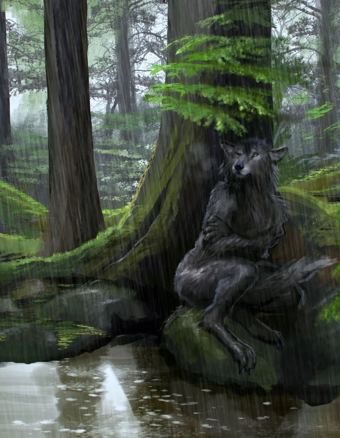 Rain - Furry, Furry art, Furry canine, Furry wolf, Werewolves, Rain