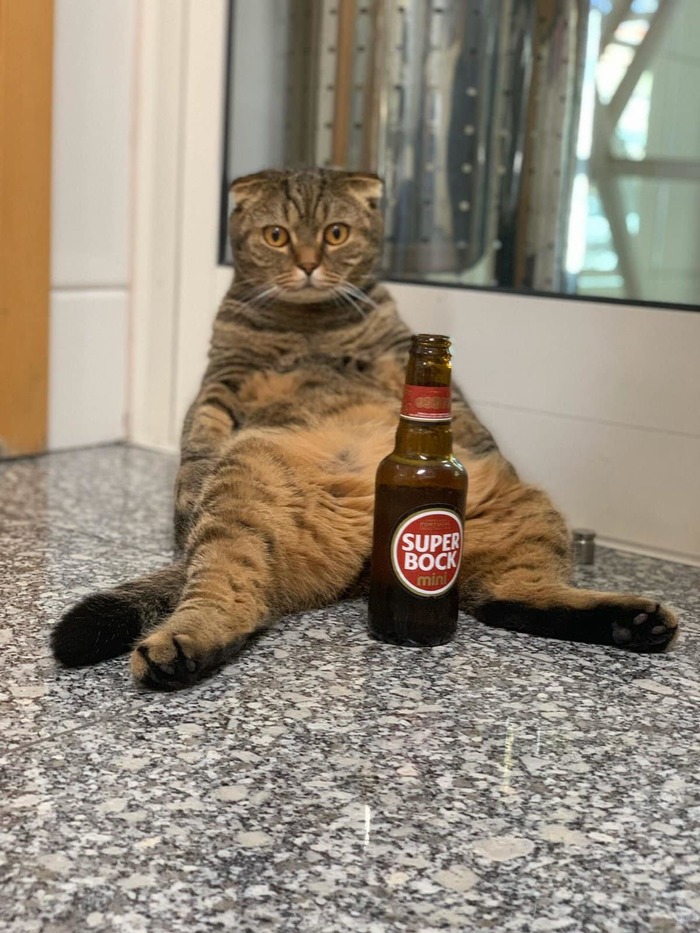 Как найти в себе алкоголика? Самодиагностика