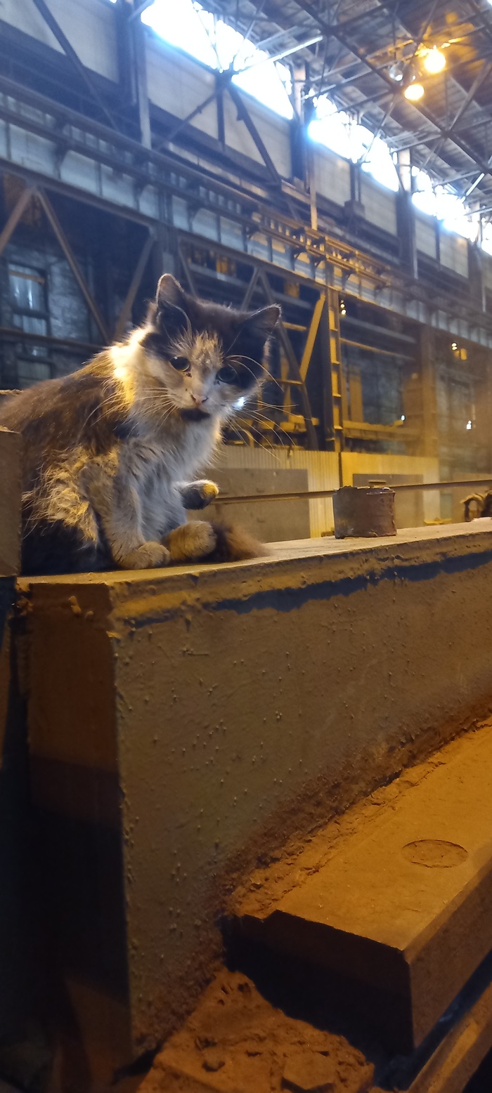 ����� �� ������