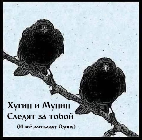 Напоминаю - Моё, Черные вороны, Скандинавская мифология, Один, Юмор, Наблюдатели