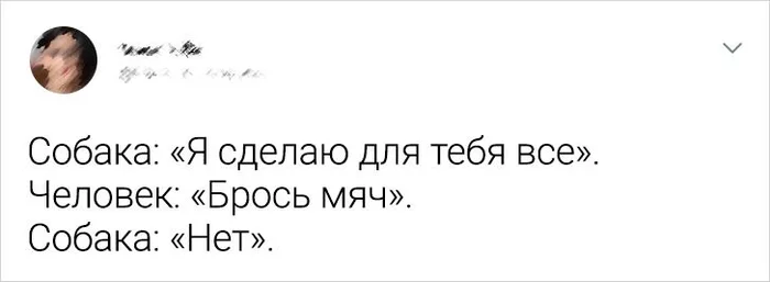 А еще друг человека - Собака, Друг, Мяч, Обман, Twitter, ADME, Скриншот, И так всегда