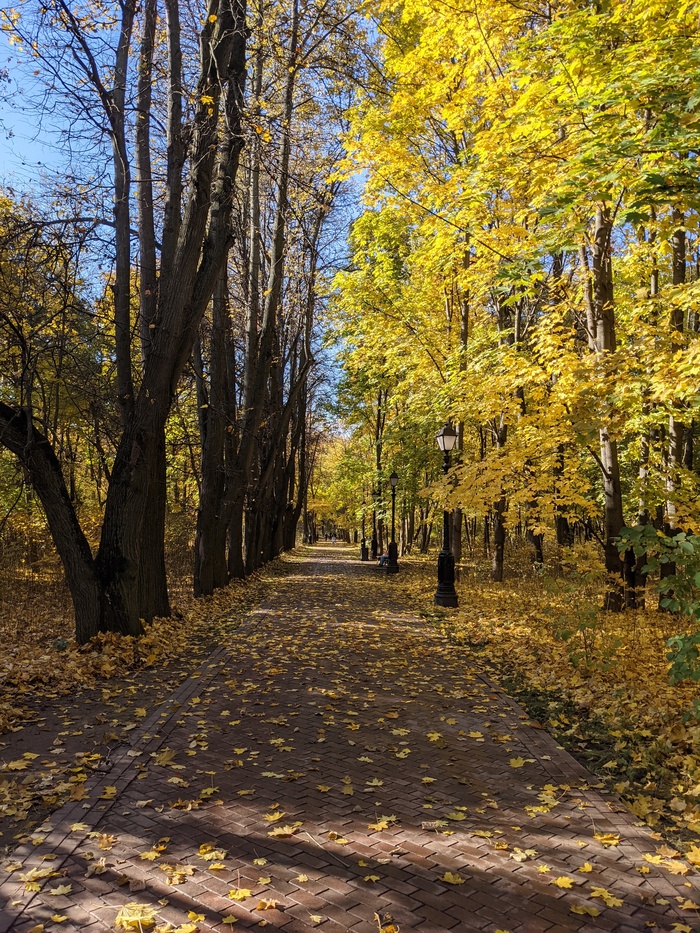 Осень