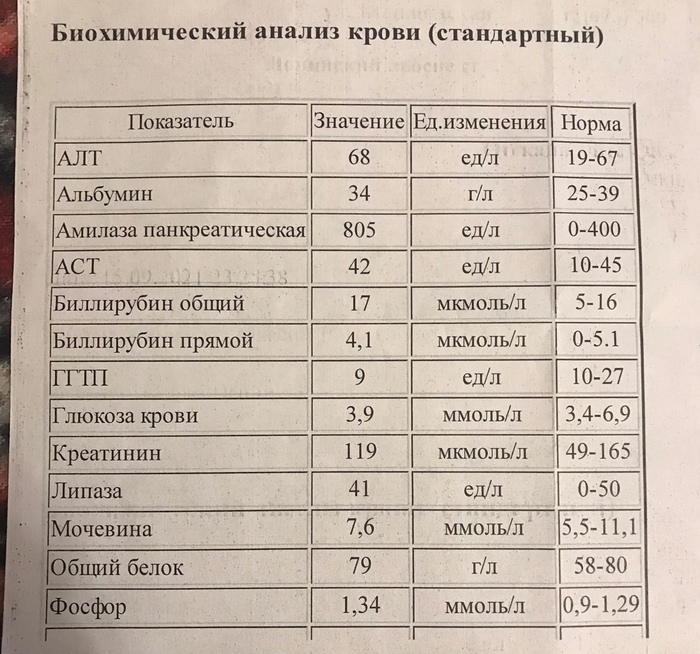 какое животное завезли в ленинград