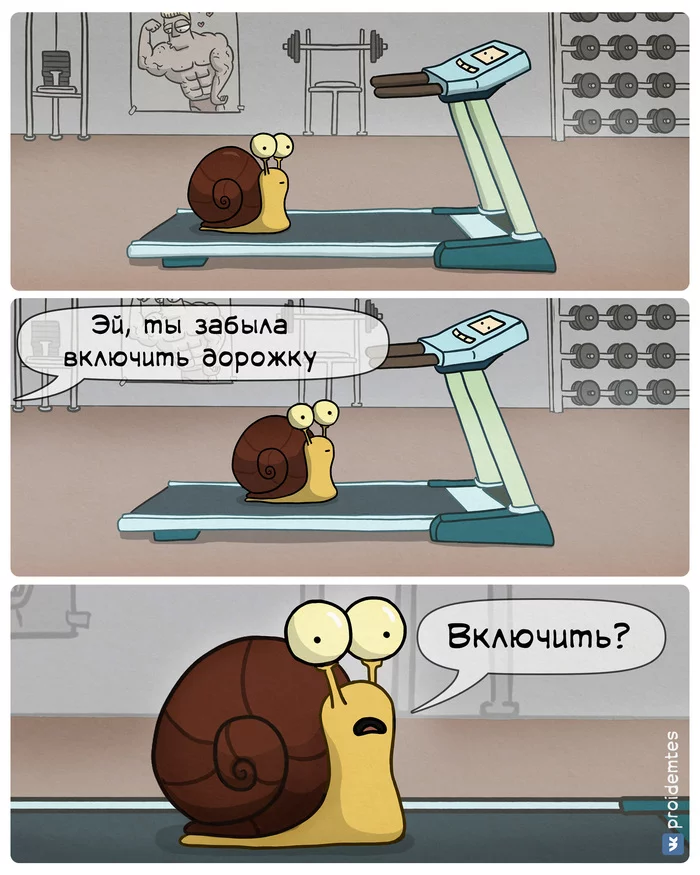 First time at the gym - My, Proidemtes, Snail, Humor, Comics, Web comic, Gym