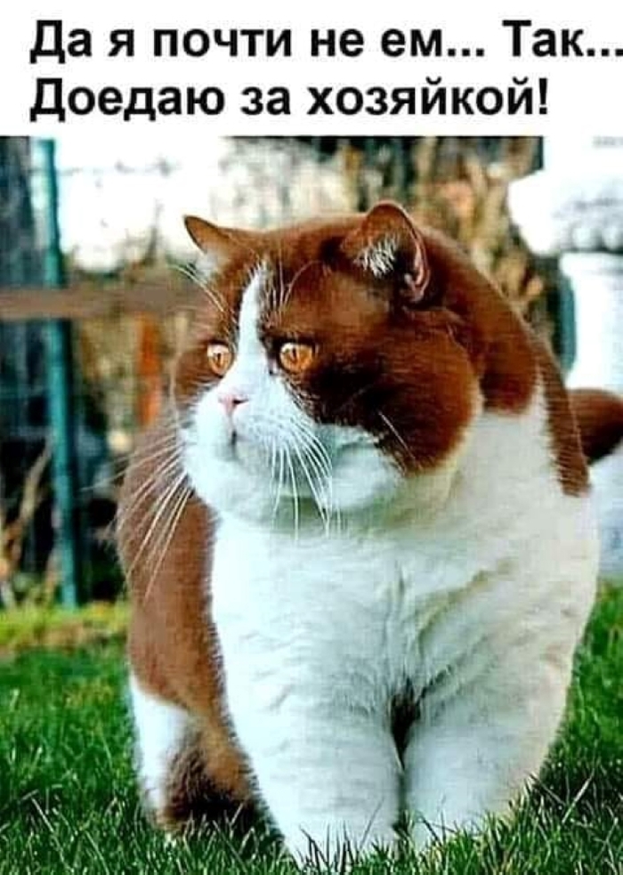 :))