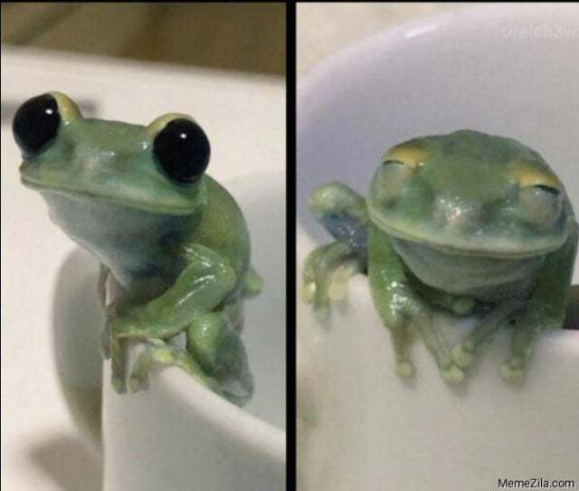 ����� ���������� ������� ������� ��� ����