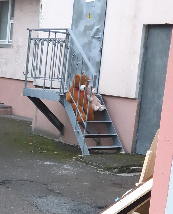 ������ �����