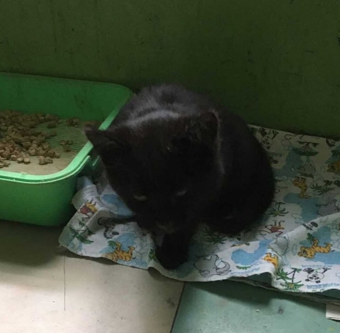 ����� ���� �������, ����� ���� ������!