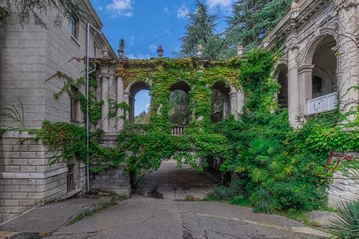 Abandoned sanatorium. - My, The photo, Abandoned, Sochi, Sanatorium, Sanatorium Ordzhonikidze, Longpost