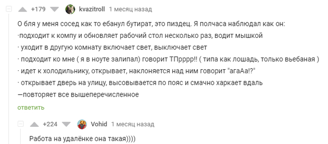 Про удалёнку) - Мат, Комментарии, Удаленная работа, Наркотики, Проблемные соседи, Комментарии на Пикабу