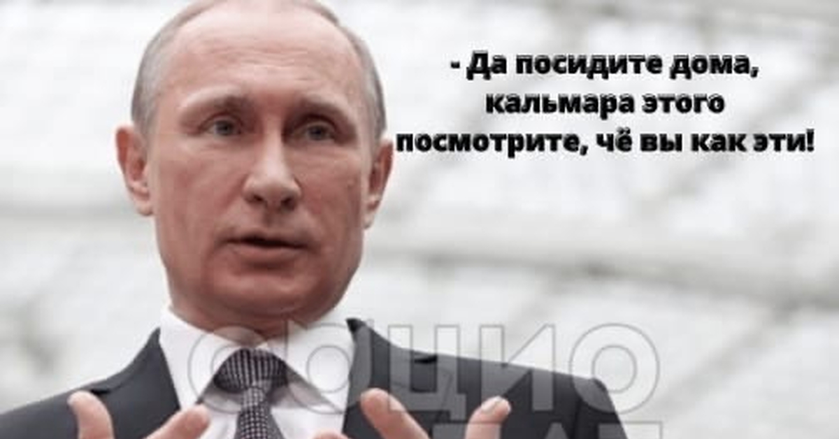 Ну посидите. Путин да Мем.